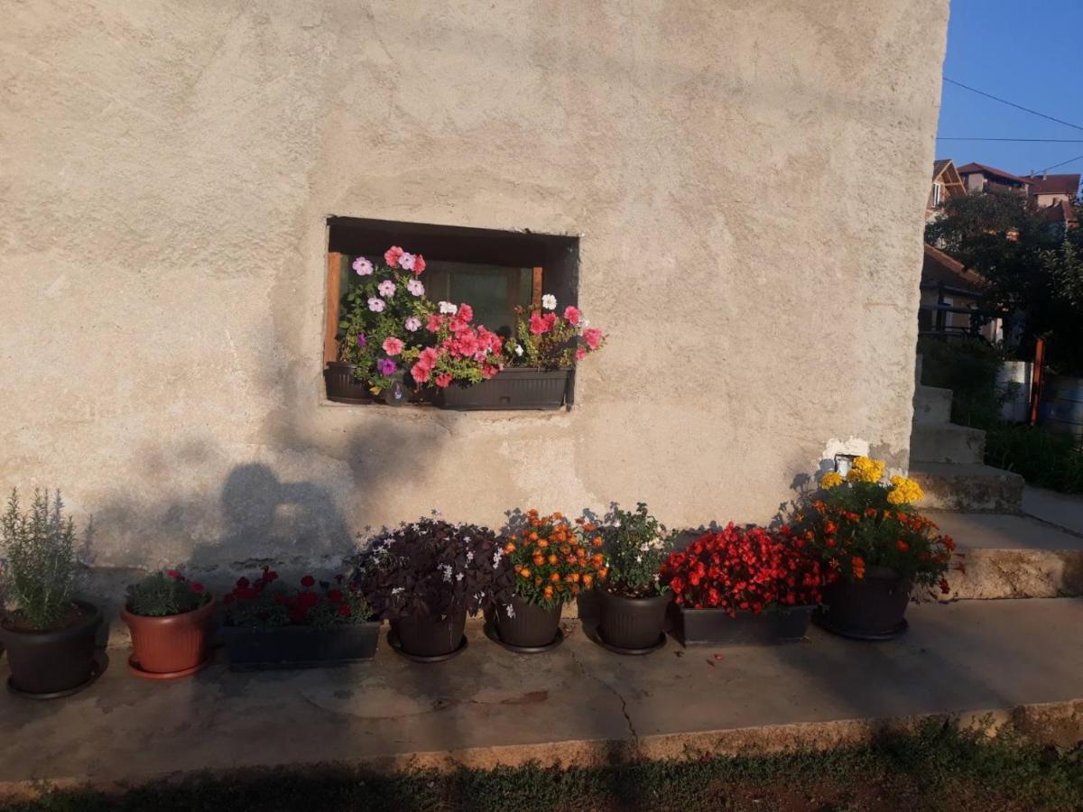 Smestaj Rakovic Pribojska Banja Buitenkant foto