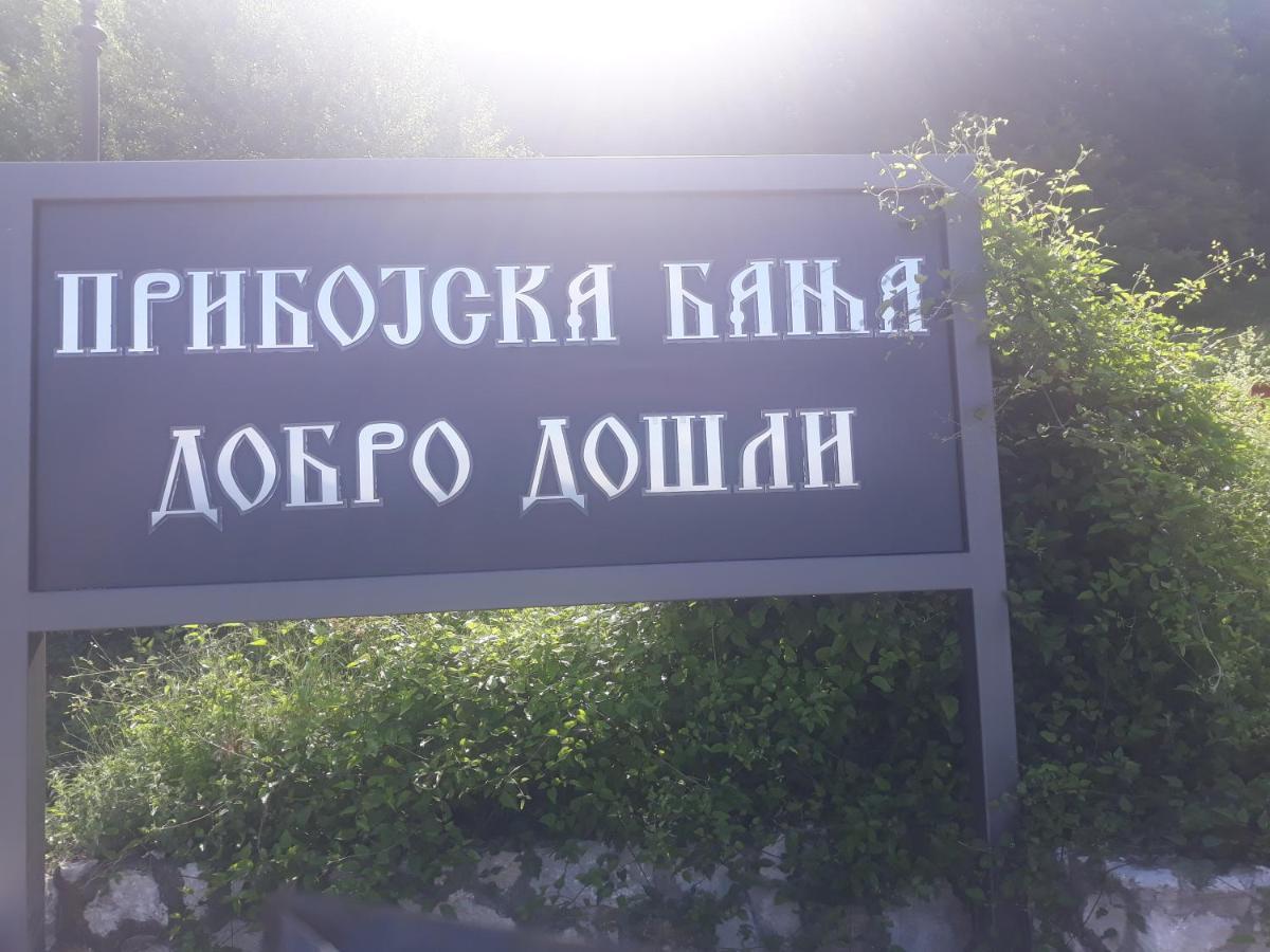 Smestaj Rakovic Pribojska Banja Buitenkant foto