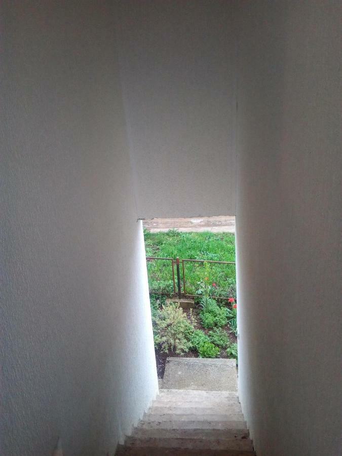 Smestaj Rakovic Pribojska Banja Buitenkant foto