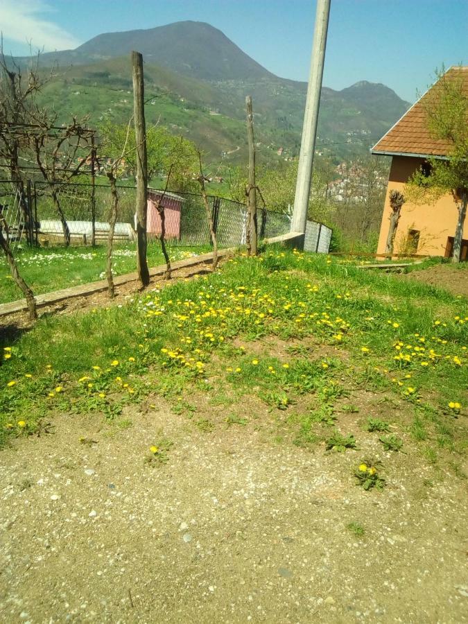 Smestaj Rakovic Pribojska Banja Buitenkant foto